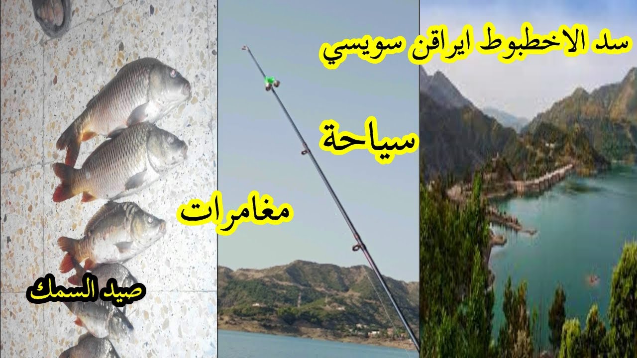 سد  ايراقن سويسي  لعشاق صيد لكارب قرونبوش باربو ( barrage.Erraguene)