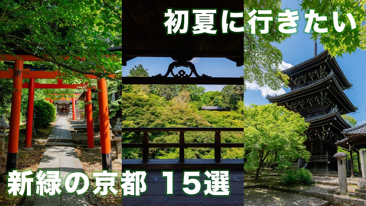 初夏に見たい新緑の京都15選 ｜北野天満宮｜真如堂｜宗忠神社｜竹中稲荷神社｜哲学の道｜南禅寺｜インクライン｜清水寺｜東福寺｜勝林寺｜霊源院｜光明院｜今熊野観音寺｜大石神社｜平野神社