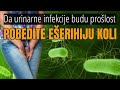 Bakterije u urinu (mokraći) - urinarne infekcije i ešerihija koli?