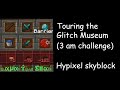 The Biggest Glitched Item Museum in Hypixel Skyblock