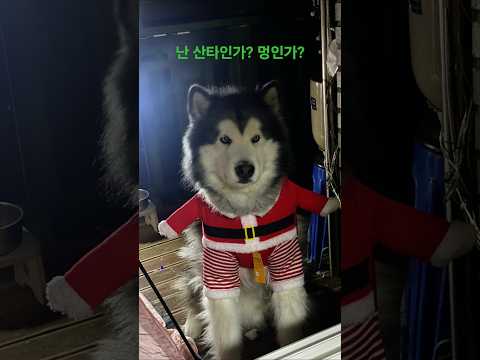2025년 10월 20일