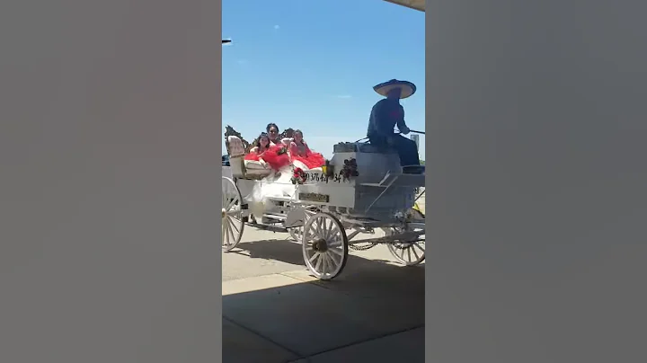 La Boda De Jose y Aidee Rivera