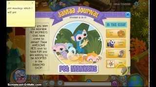 Animal Jam Updates- PET MONKEY