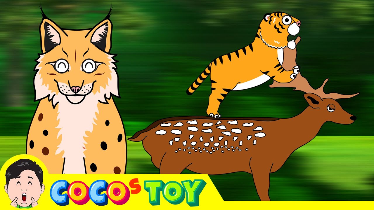 ⁣A lynx raised a baby tiger with loveㅣanimals animation for childrenㅣCoCosToy