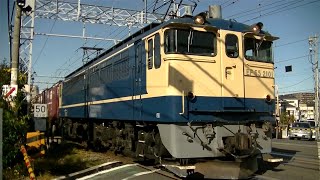 JR南武線日枝踏切を通過するEF65-2101号機牽引コンテナ貨物列車