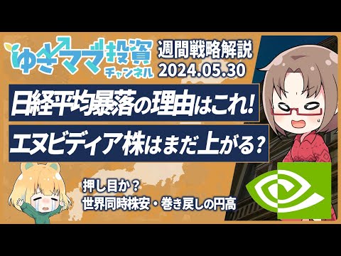 【週刊投資戦略】日経平均暴落の理由とは？株と為替の最新情報！エヌビディア株はまだ上がる/5月30日