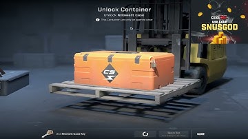 Opening CS2 Case Every Day until a Gold appears | Day 22