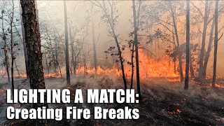 Creating Fire Breaks