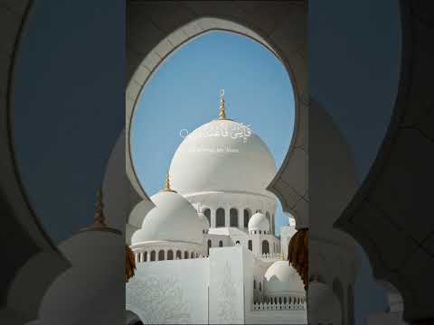 Islamic content#tilawat #islamicstatus