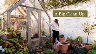 Satisfying big garden clean up, November garden vlog