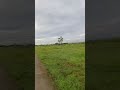 GloomyMorningSpin#Cycling#short