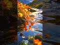 Beautiful Piano Music to Relax Your Mind | Deep Sleep, Study & Meditation 🎹✨