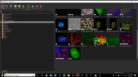 Imaris Advanced tutorial session 3   UCSF 080918