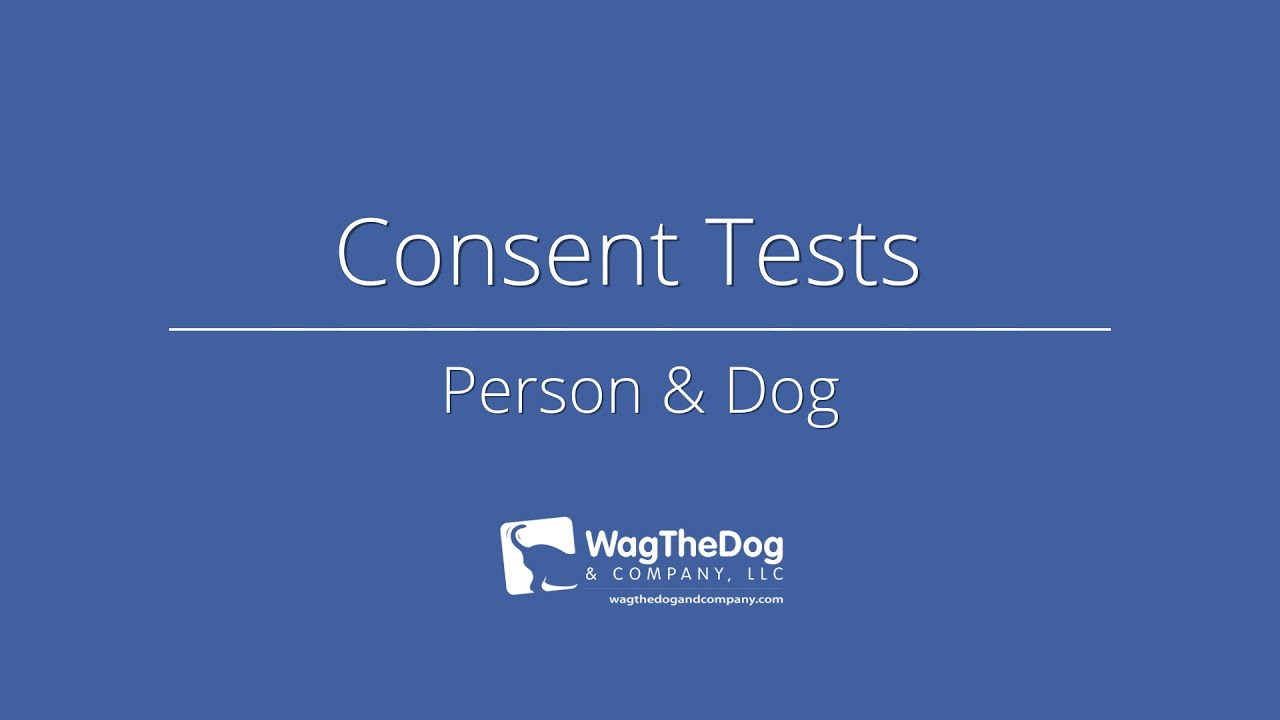 Consent Test Person and Dog YouTube