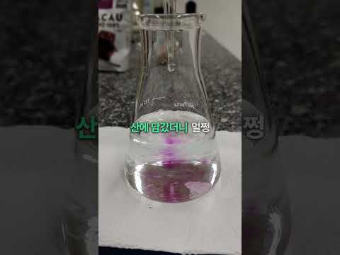 총열 연구가 낳은 실패작, 스테인리스