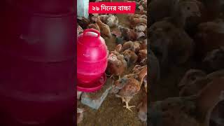 #sonali #farming #viral #short #Ak poultry feed