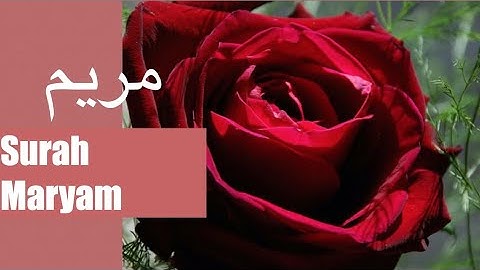 019 - Maryam (Mary) سورة مريم || Abdulelah bin Aoun - القارئ عبدالإله بن عون