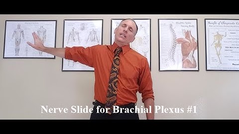 Nerve Slide Brachial Plexus 1 for Thoracic Outlet Syndrome