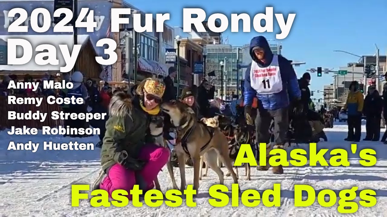 Live - Start Day #3 2024 Fur Rondy Open World Championship Sled Dog ...