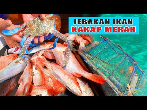 Cara Bikin Bubu Ikan Di Laut