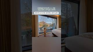 #힐링포레스트 #힐링포레스트펜션 #원주펜션 #치악산펜션 #원주풀빌라 #원주독채펜션 #원주힐링펜션 #원주가족숙소