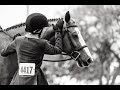 Lovely | Equestrian Music Video