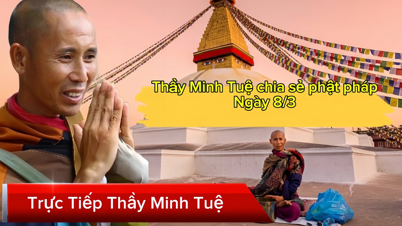 Trực tiếp Thầy Minh Tuệ chia sẻ phật pháp buổi trưa ngày 8/3