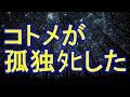 【修羅場】葬儀が終わったけど、誰も悲しんでいる人がいなかった。夫は遺骨を飲食店に置き忘れそうになるし【修羅場クラブ】