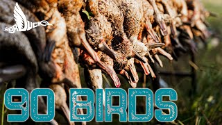 90 Birds, Louisiana Opener | Dr Duck by Dr Duck 36,887 views 7 months ago 14 minutes, 37 seconds