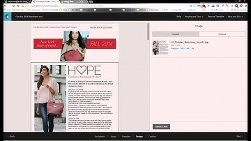 Mailchimp 101 Reloaded: Creating a Miche Newsletter