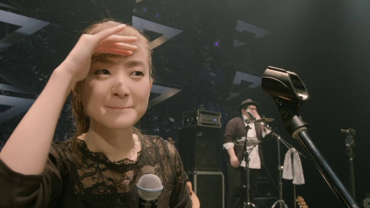 GOOSE HOUSE LIVE HOUSE TOUR 2017 YouTube