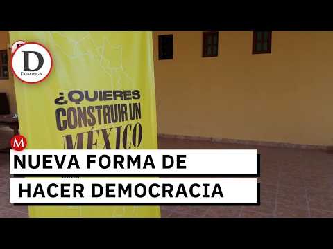 Activism and Democratic Participation in Mexico