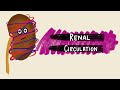Renal Circulation | Renal Blood Flow | Renal Autoregulation | Renal Physiology