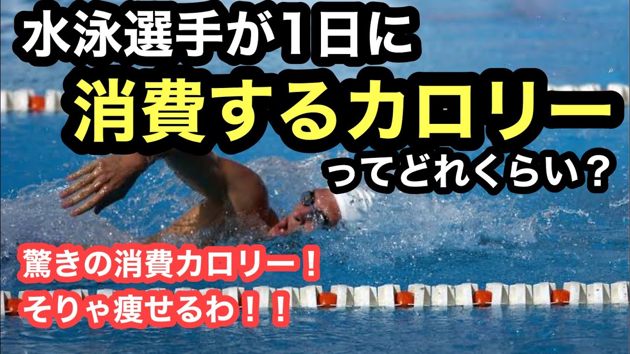 水泳 消費 カロリー