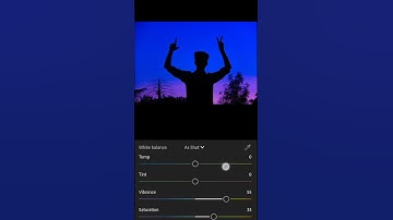 photo editing /Snapseed/lightroom/tutorial