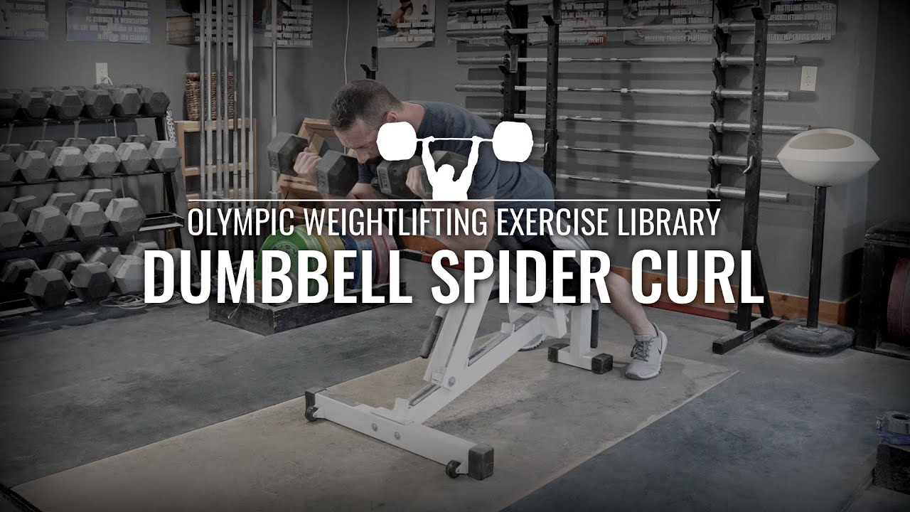 Spider Rows Exercise Dumbbell Spider Curl | Olympic Weightlifting Exercise Library - YouTube
