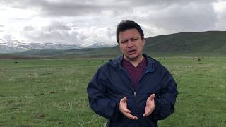 Karma (Mera) Aşısı