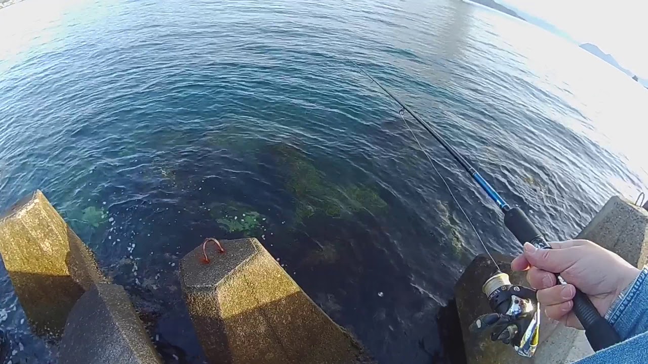 由良町でエギング2 広川町でアジング Youtube