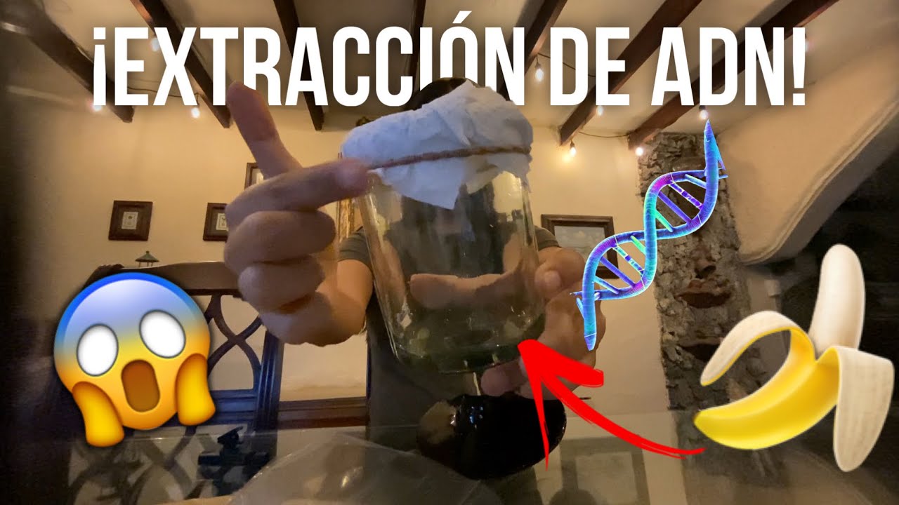 Como Extraer Adn De Una Fruta