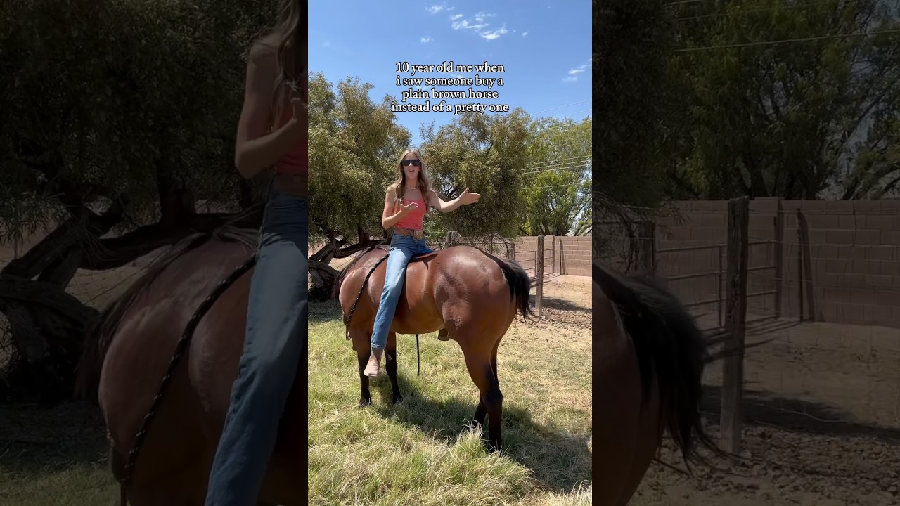 i literally said i’d never own a “plain brown horse” 🤣 