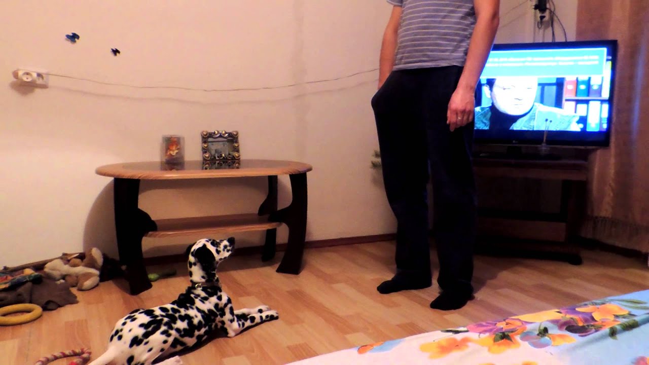 Социализация