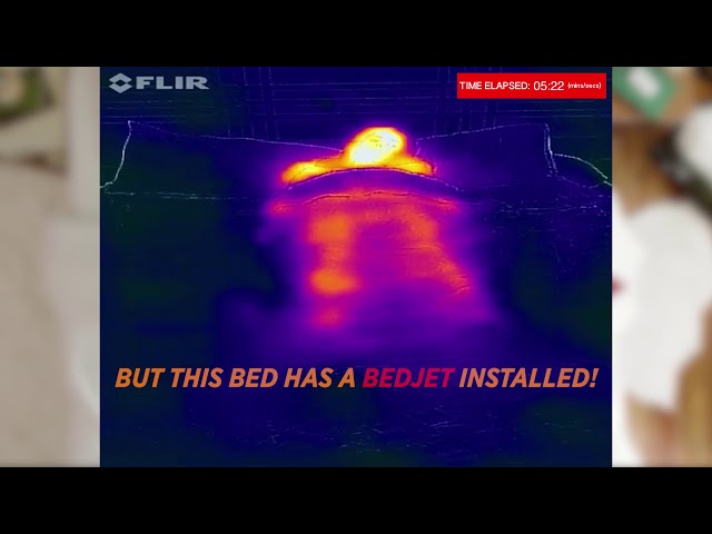 BedJet INFRA RED CAMERA video