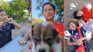 Brother‼️ Fight For My Puppy😆🥰  | JJaiPan Shorts Compilation #shorts