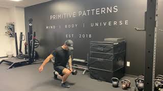 Contralateral Suitcase Split Squat
