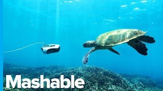 This Aquatic Drone Will Make Your Underwater Shots Look Stunning