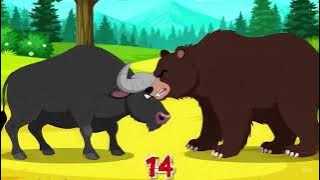 Amazing 😲🏕🍀