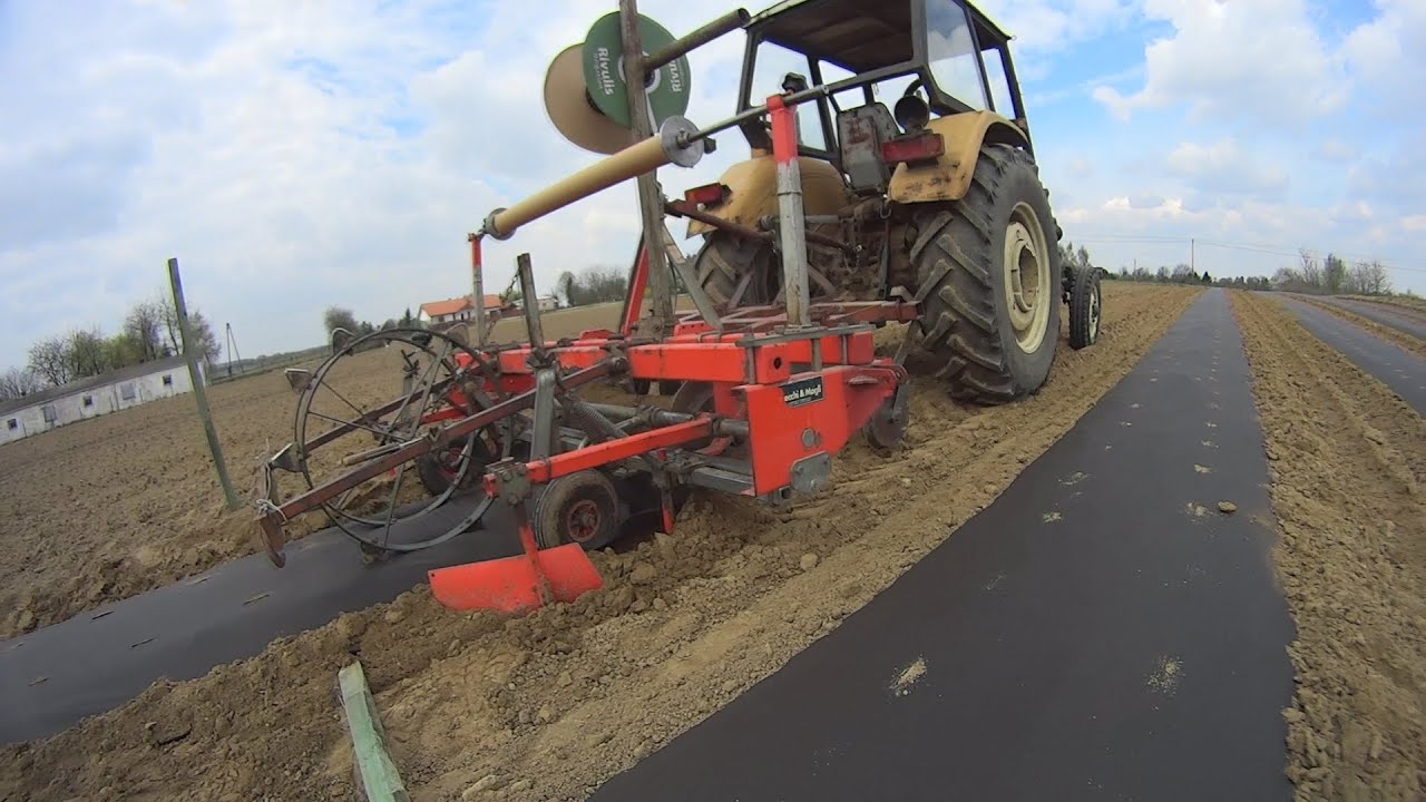TRUSKAWKI BEZ CHWASTÓW ?! Redlinofoliarka oraz przygotowania pod uprawę truskawek.