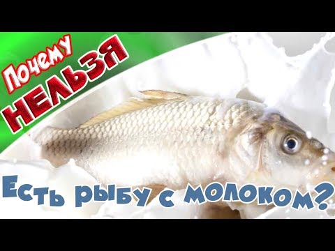 ➤Почему нельзя есть рыбу с молоком?➤