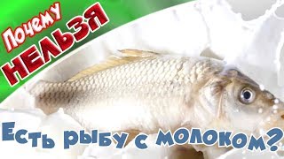 ➤Почему нельзя есть рыбу с молоком?➤ ➤Почему нельзя есть рыбу с молоком?➤