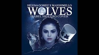 Selena gomez, marshmello - wolves [acoustic cover]